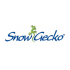 Snow Gecko