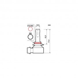 Lampa - Λάμπα H10/HB3/HB4 12V PY20d/P20d/P22d 1550/900lm 6500K Halo LED Quick-Fit Hyper Series με Παθητική Ψύξη - 1 Τεμ. (L5768.6) Λάμπες americat.gr