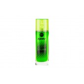Amio - ΑΡΩΜΑΤΙΚΟ ΣΕ ΣΠΡΕΥ AROMA SPRAY - LEMON (50ml) - 1 ΤΕΜ. (A92060/AM) Αρωματικά americat.gr