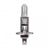 H1 12V 100W P14,5s STANDARD ΑΛΟΓΟΝΟΥ ΚΟΥΤΙ 1ΤΕΜ. M-TECH Λάμπες americat.gr