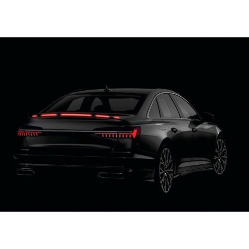 ΤΑΙΝΙΑ ΣΙΛΙΚΟΝΗΣ LED ΚΟΚΚΙΝΟ ΦΩΣ CARBON-LOOK ΠΟΡΤ ΜΠΑΓΚΑΖ  SPOILER LED LIGHT 12V IP67 25χ10mm 120cm LAMPA -  1 Τεμ.