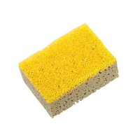 Kombi, car washing and insect sponge