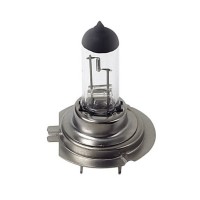 12V Halogen lamp - H7 - 55W - PX26d - Halogen Lamps americat.gr