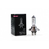 H7 24V 70W PX26d STANDARD ΑΛΟΓΟΝΟΥ ΚΟΥΤΙ 1ΤΕΜ. M-TECH Λάμπες americat.gr
