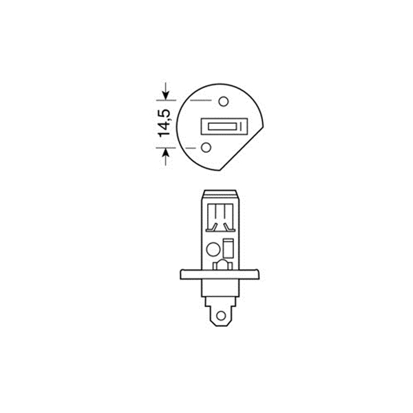 H1 Αλογονου 12V/55W 62.5MM P14,5S Λαμπα - Thumbnail 3